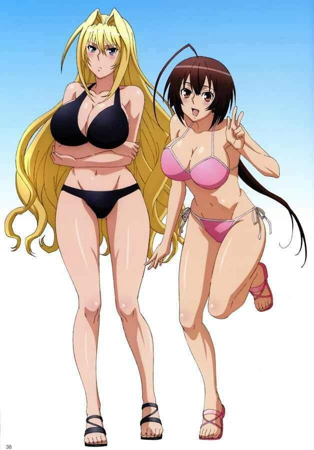 Sekirei Anime Amino