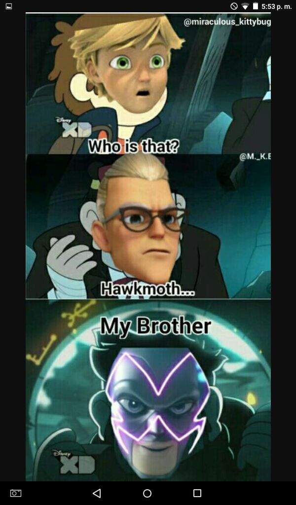 Miraculous Ladybug Hawk Moth Memes