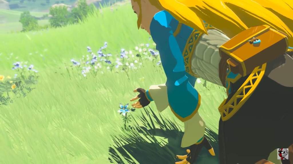 The flower in BOTW Zelda Amino