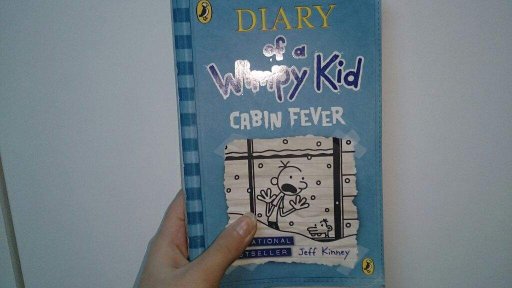 Diary Of A Wimpy Kid Cabin Fever Wiki Books Writing Amino