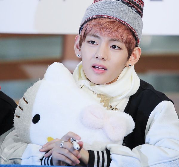 taehyung stuffed toy