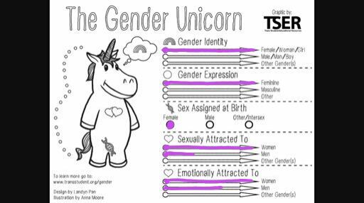 Gender Sexuality Unicorn Lgbt Amino