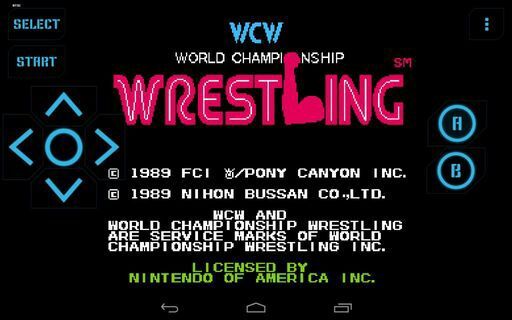 world championship wrestling nes