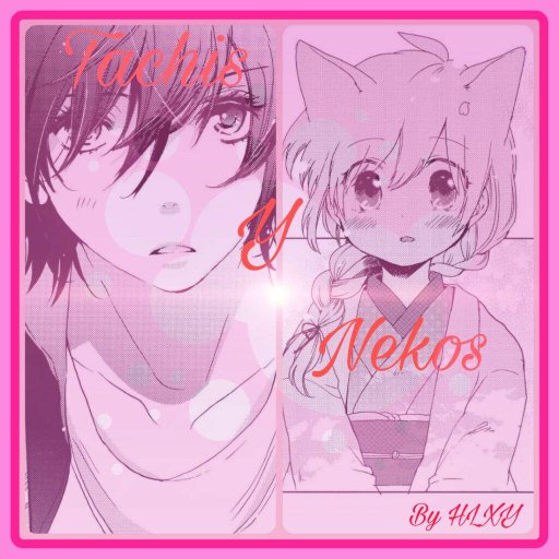 Tachi To Neko Docchi Ga Li No Tachis y Nekos | Wiki | Yaoi & Yuri Amino