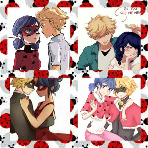 Marichat Adrinette Ladynoir Ladrien Wiki •miraculous Ladybug Español• Amino