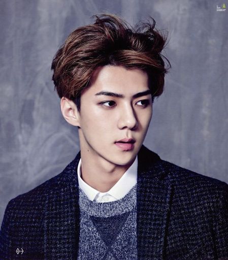 Sehun | Wiki | •Western Love• Amino