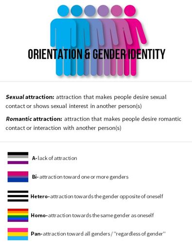 Orientaciones Sexuales Y Románticas Lgbt ♡ Amino 