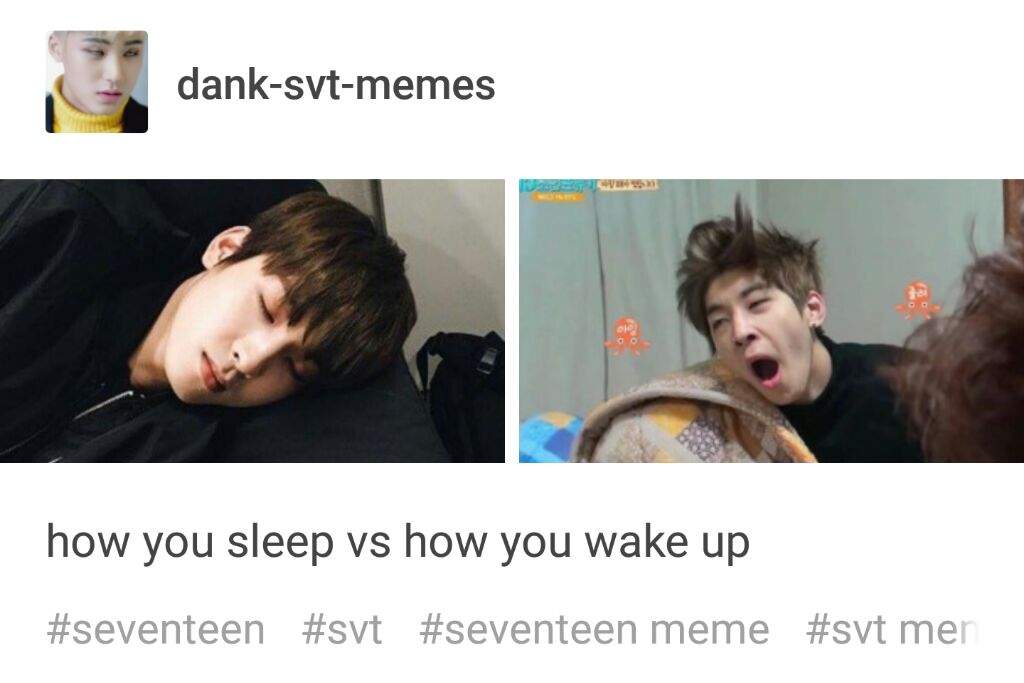 Svt Memes Carat 캐럿 Amino