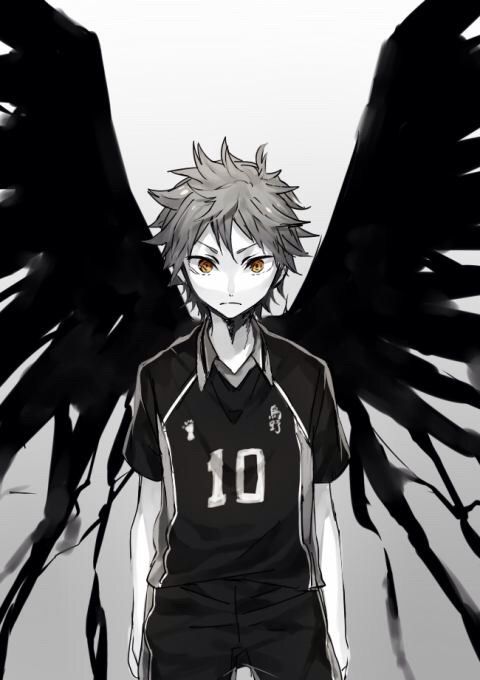 Haikyuu | Anime Amino