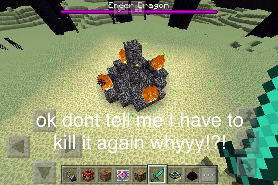 How to hatch en dragon egg mcpe Minecraft Amino