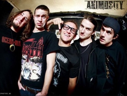 Animosity Wiki Metal Amino