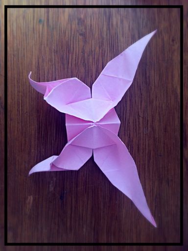 Borboleta origami DIY Português Amino