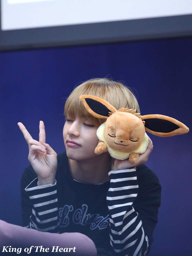 taehyung plushie