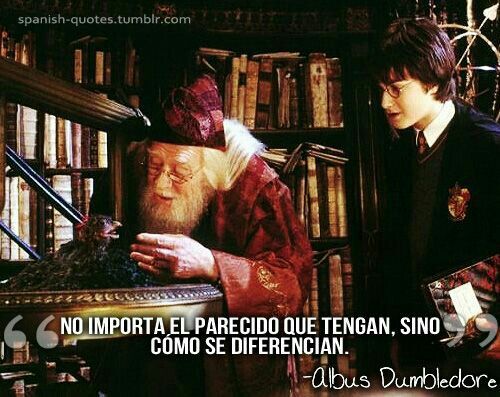 Harry Potter Harry Potter