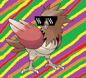 Dank The Spearow Wiki Pok Mon Amino