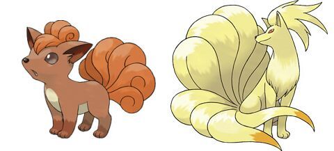 Image: Vulpix Evolution Level 