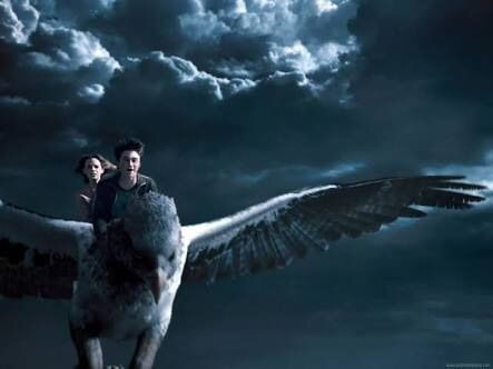 harry potter flying on buckbeak