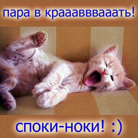 Стих если не споки-ноки Стих если не споки-ноки