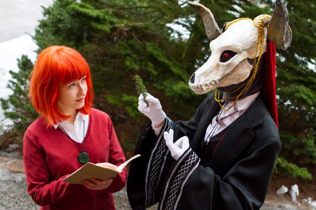 Mahou Tsukai No Yome Group | Cosplay Amino