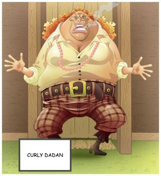 Curly Dadan | Wiki | One Piece Brasil™ Amino