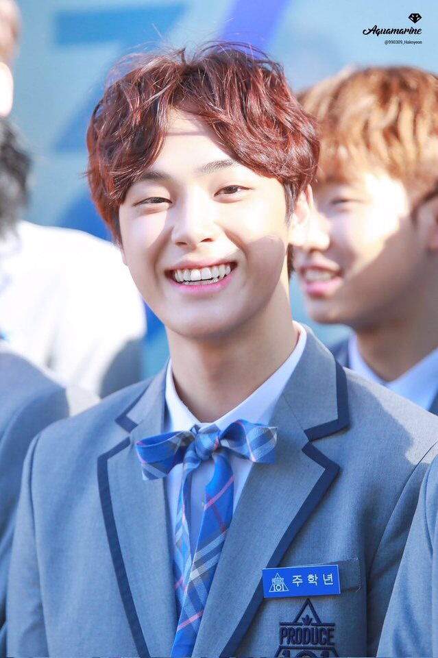 pd101 boys profiles cont 3 | Produce 101 Boys Amino pd101 boys profiles cont 3 | Produce 101 Boys Amino