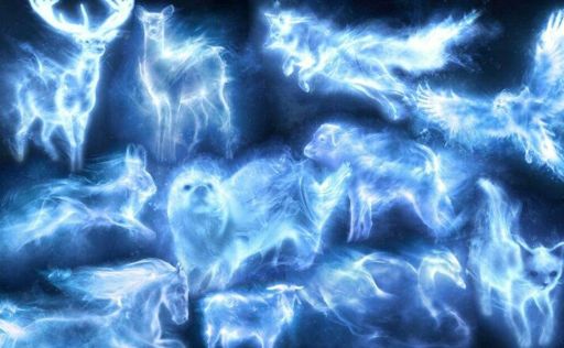 💫WHOM WHAT KIND OF ANIMAL THE PATRONUS?💫 | Harry Potter Amino