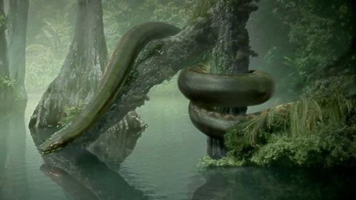 Titanoboa | Wiki | Amino Paleontología Amino