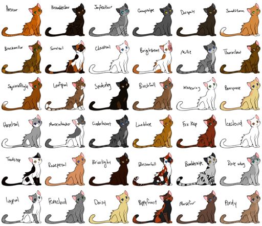 warrior-cats-characters-thunderclan