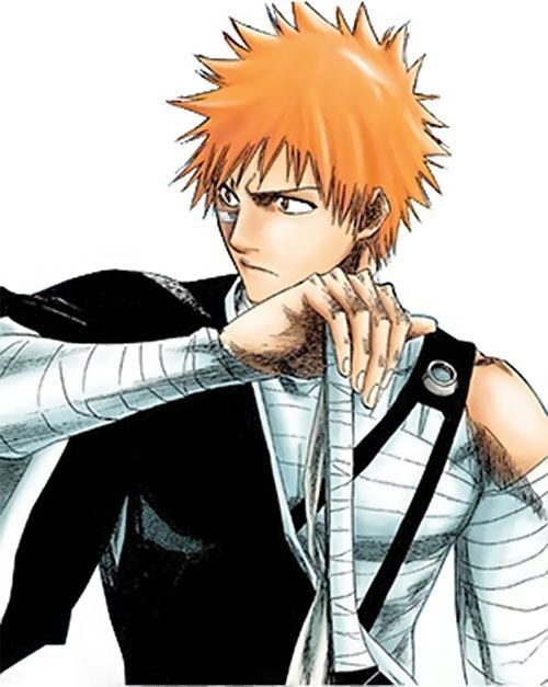 Ichigo | Anime Amino