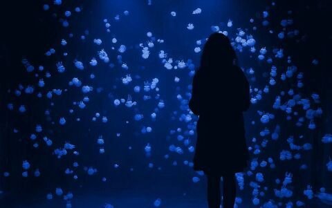 Featured image of post Dark Blu Aesthetic - Dan x dark blue aesthetic.