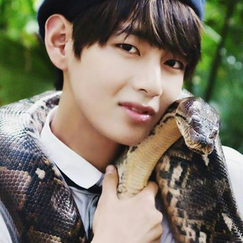 BTS V 2017 | •K-Pop• Amino