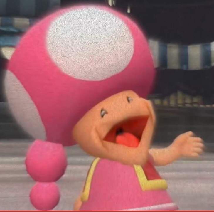 Toadette Toad S Gf Wiki Smg Amino