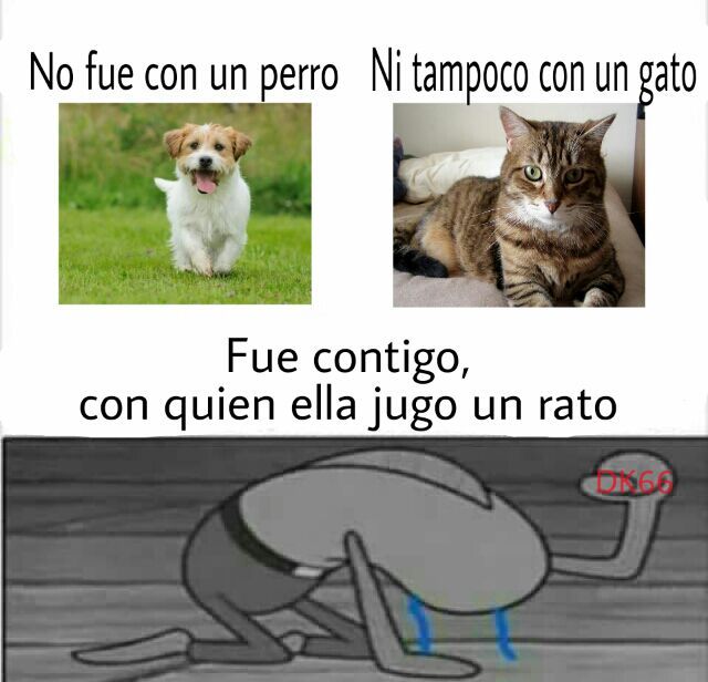 Resultado de imagen para momos sad :'v