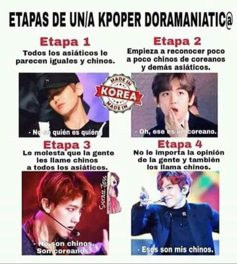 Etapas De Una Kpoper K Pop Amino