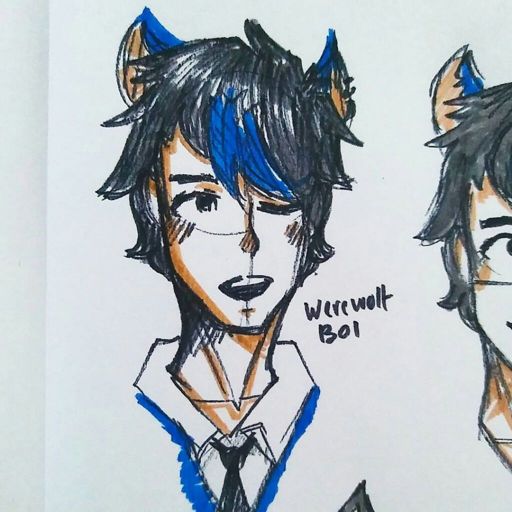 is-it-ian-or-ein-wiki-aphmau-amino