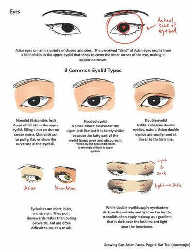 double eyelid wiki