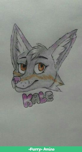 Mi Fursona Furry Espa Ol Amino