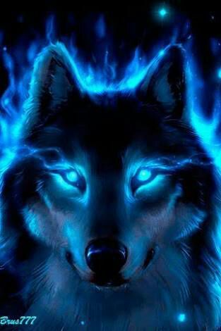 Lobos de Fuego | 👑World of Kings-Rol👑 Amino