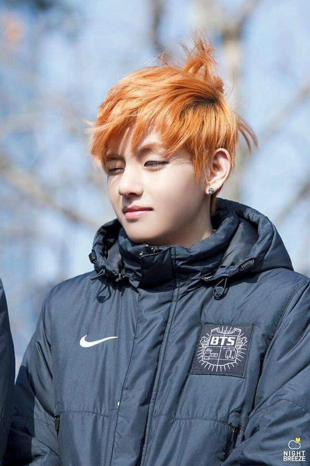 Day 4 Bias with Messy Hair | Kim Taehyung Amino