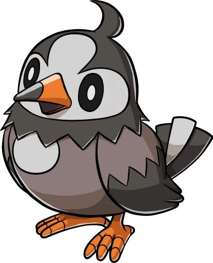 Starly | Wiki | Pokémon Amino