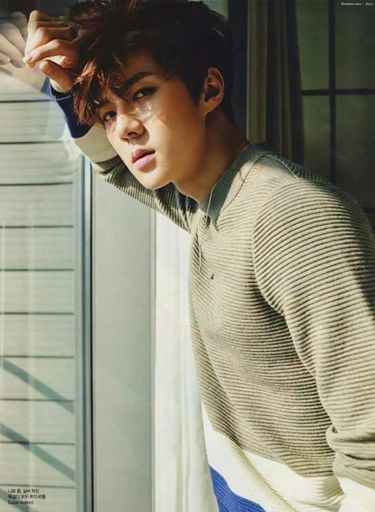 Is EXO Sehun the only child in the family? - Popular on Aminoapps