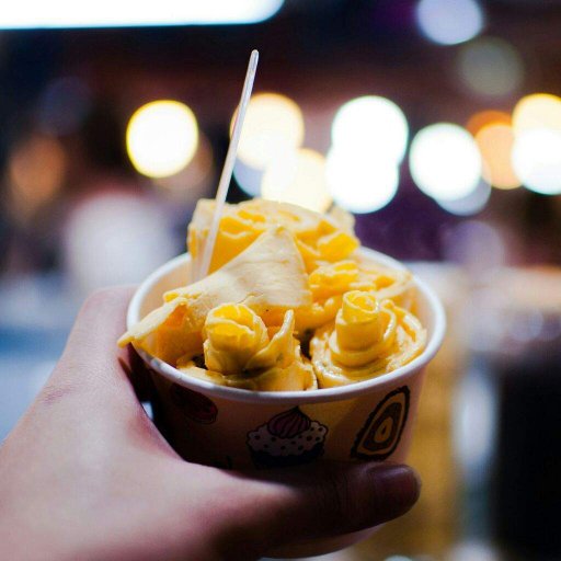 Cold plate ice cream Photography Amino
