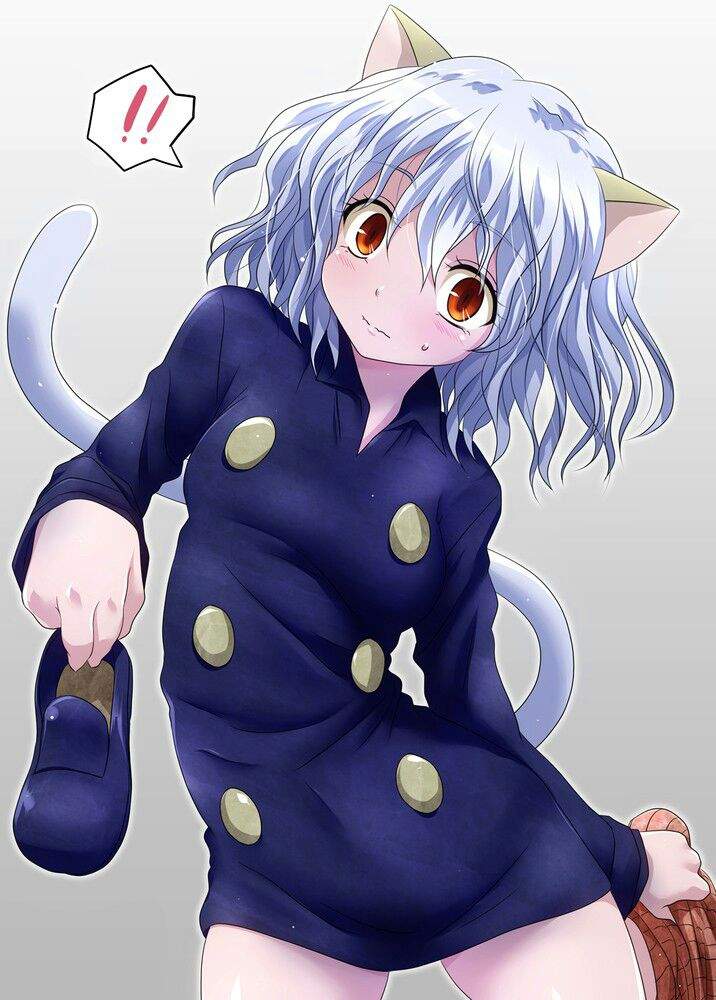 Neferpitou Anime Amino