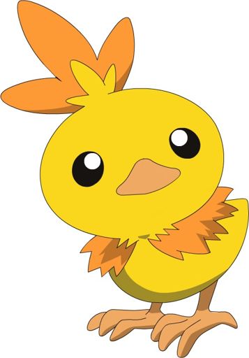 🐤🐥 Shiny Torchic 🐤🐥 