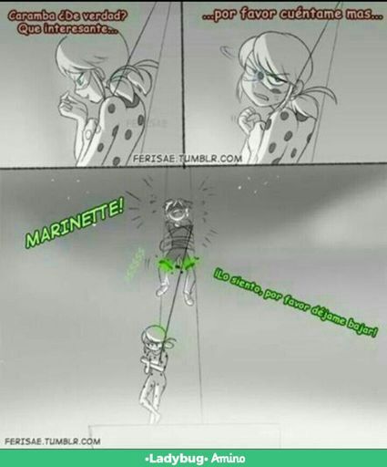 Comic divertido Miraculous Ladybug Español Amino