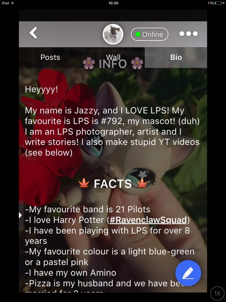 bio-templates-amino