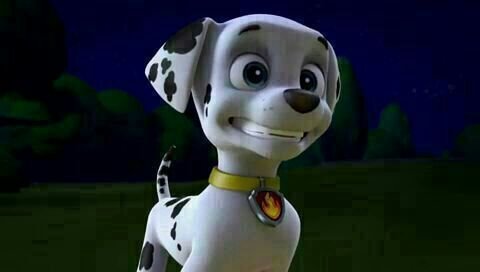 merpup marshall