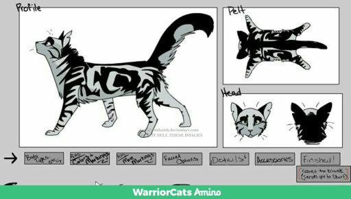 Make your own warrior cat free