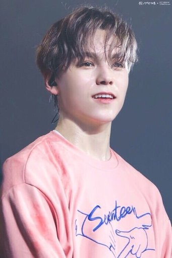 Vernon | Wiki | Carat 캐럿 Amino