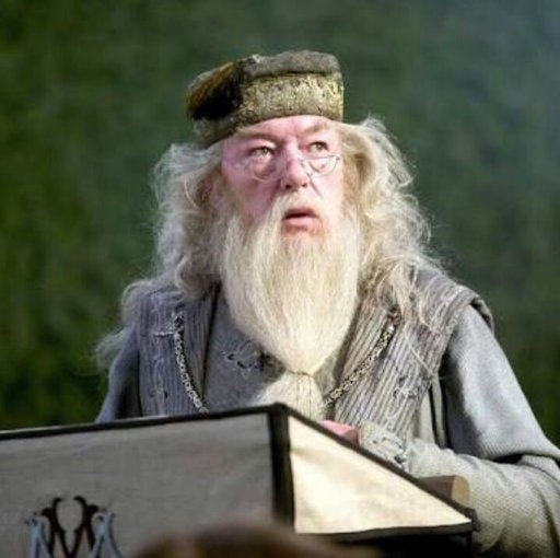 The Dumbledore Dilemma Harry Potter Amino The Dumbledore Dilemma Harry Potter Amino